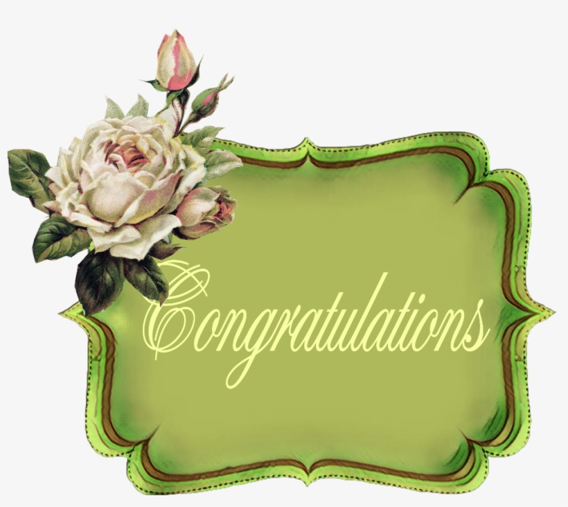 Congratulations Text Label Vintage Roses - Mom's Treasured Recipes: Blank Recipe Book, transparent png download