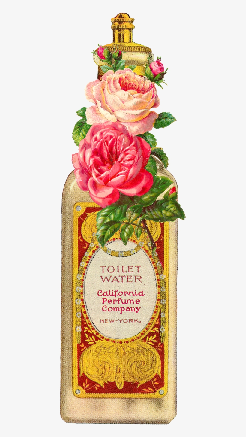 Digital Vintage Beauty Clip Art Downloads - Graphics, transparent png download