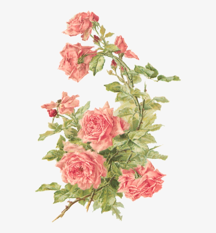 Source - Wingsofwhimsy - Files - Wordpress - Com - - Vintage Flower Pattern Png, transparent png download