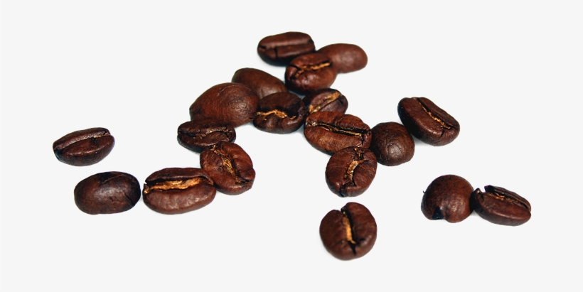 Coffee Beans Coffee Beans Roasting Beverag - Coffee Bean High Resolution, transparent png download