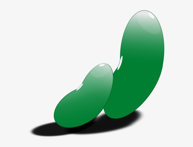 Green Coffee Bean - Bean Seeds Clipart, transparent png download