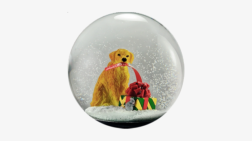Windsor Humane Society - Snow Globe, transparent png download