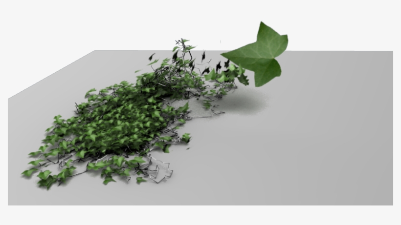 Texture Problem 2 50 193 Kb - Leaf Vegetable, transparent png download