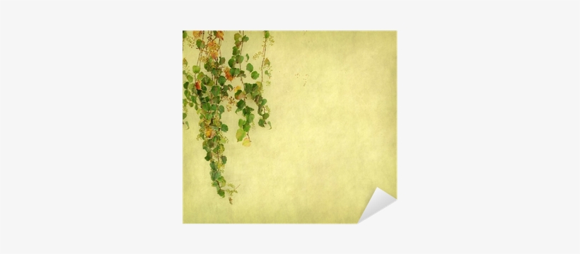 Green Ivy On Old Grunge Antique Paper Texture Sticker - Texture, transparent png download