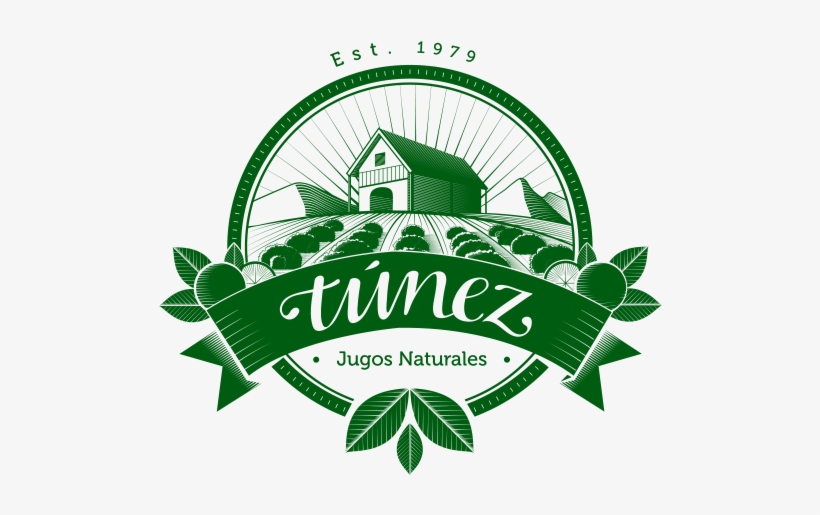 Jugos Naturales De Naranja, Mandarina Y Limón - Instagram, transparent png download