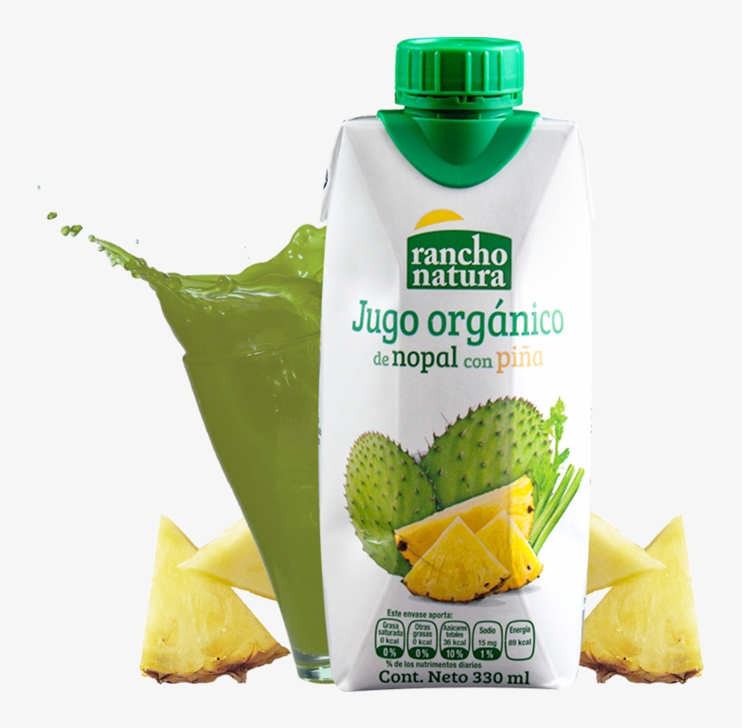 Jugo De Nopal 100% Orgánico, Natural Y Mexicano - Nopal, transparent png download