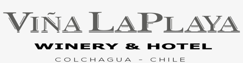 Hotel Viña La Playa - Black-and-white, transparent png download