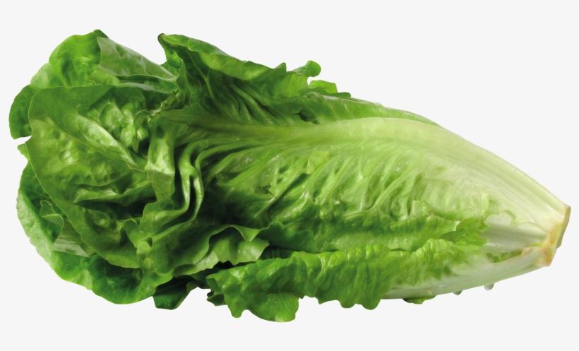 Lettuce, transparent png download
