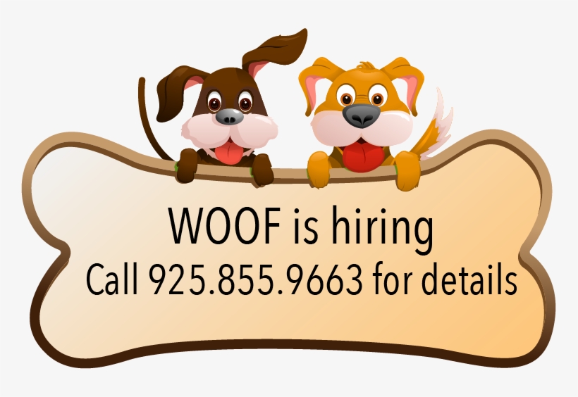 Advert - Doggie Daycare, transparent png download