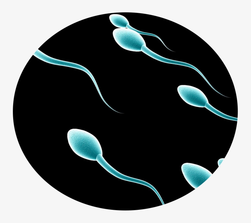 Totalcure Global Reasearch Ltd Herbal Cure For Natural - Nude Sleep Tamil Men, transparent png download