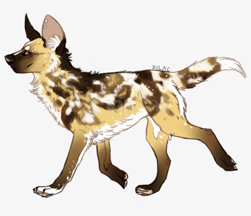 Free Png Download Wild Dogs Png Images Background Png - African Wild Dog Art, transparent png download