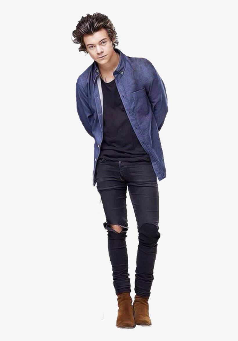 Harry Styles Png By Griz2012 - Gentleman, transparent png download