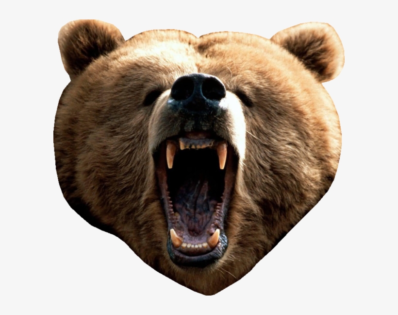 600 X 568 1 - Bear Attack, transparent png download