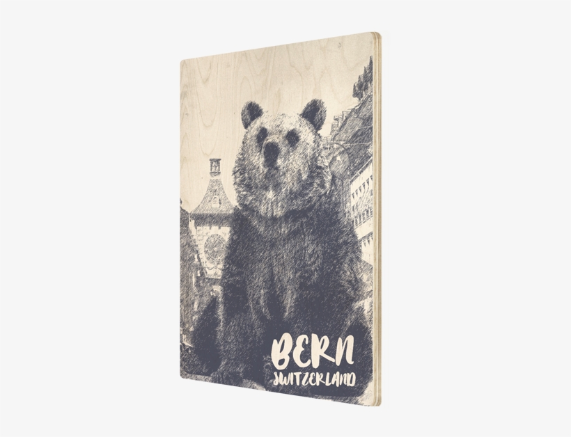 Kodiak Bear, transparent png download