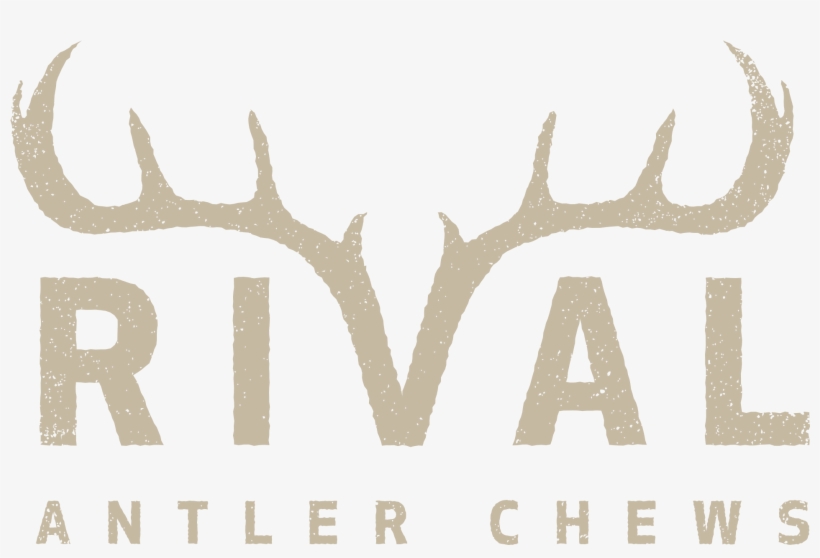 Deer, transparent png download