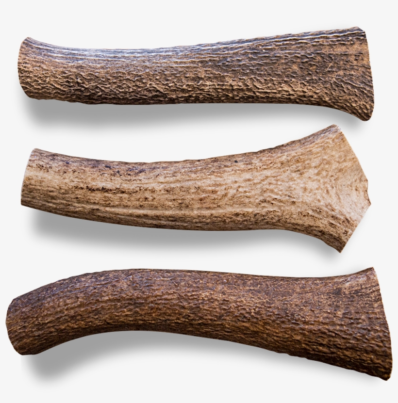 Antler Chew Elk - Wood, transparent png download