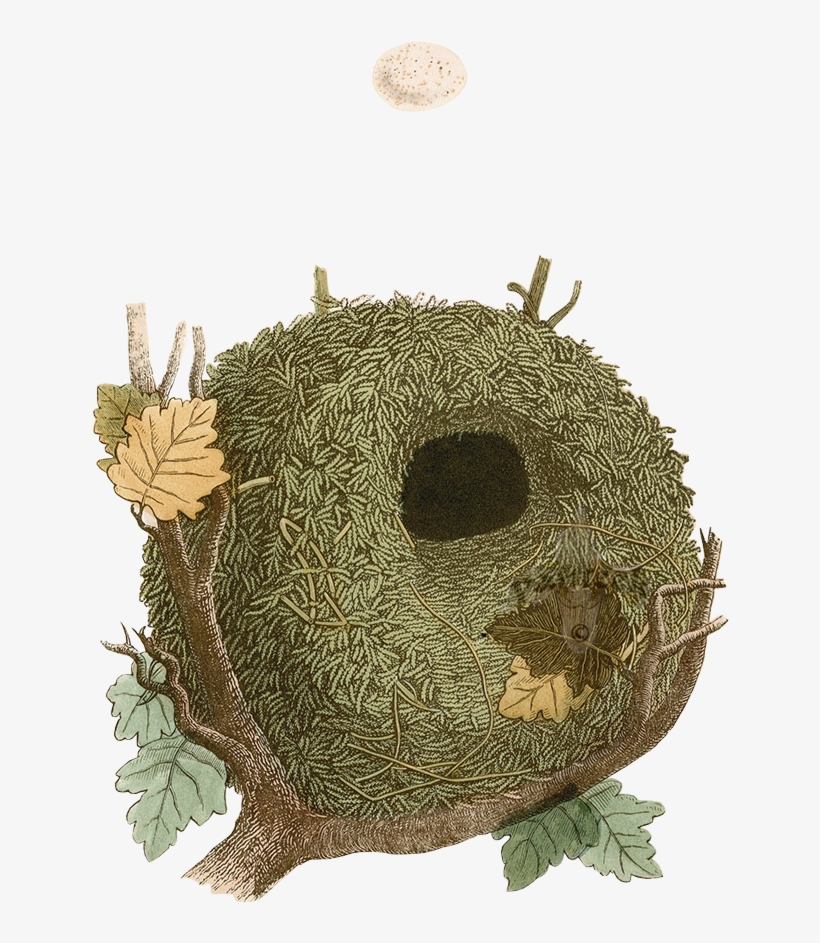 2018 Nest Holiday Hideaway - Plush, transparent png download