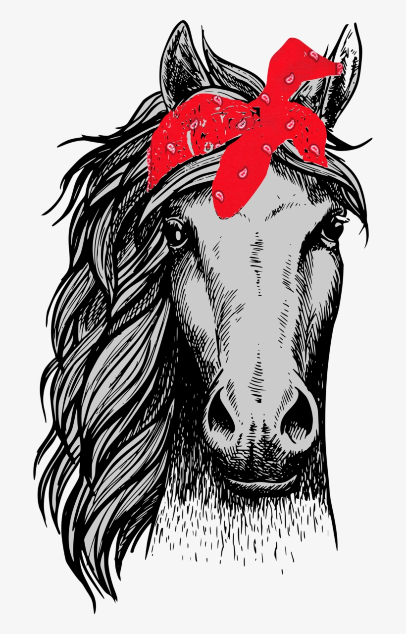 Horse Head Front View, transparent png download