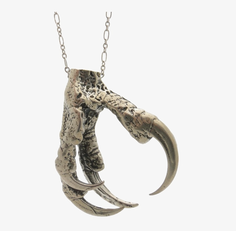 Claw Transparent Background - Owl Claw, transparent png download