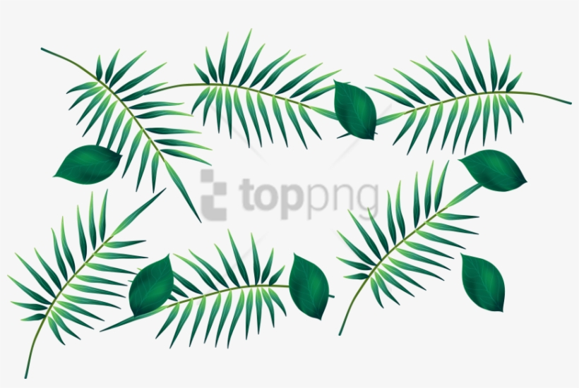 Free Png Download Palm Leaf Watercolour Transparent - Hojas Dibujo Vector, transparent png download
