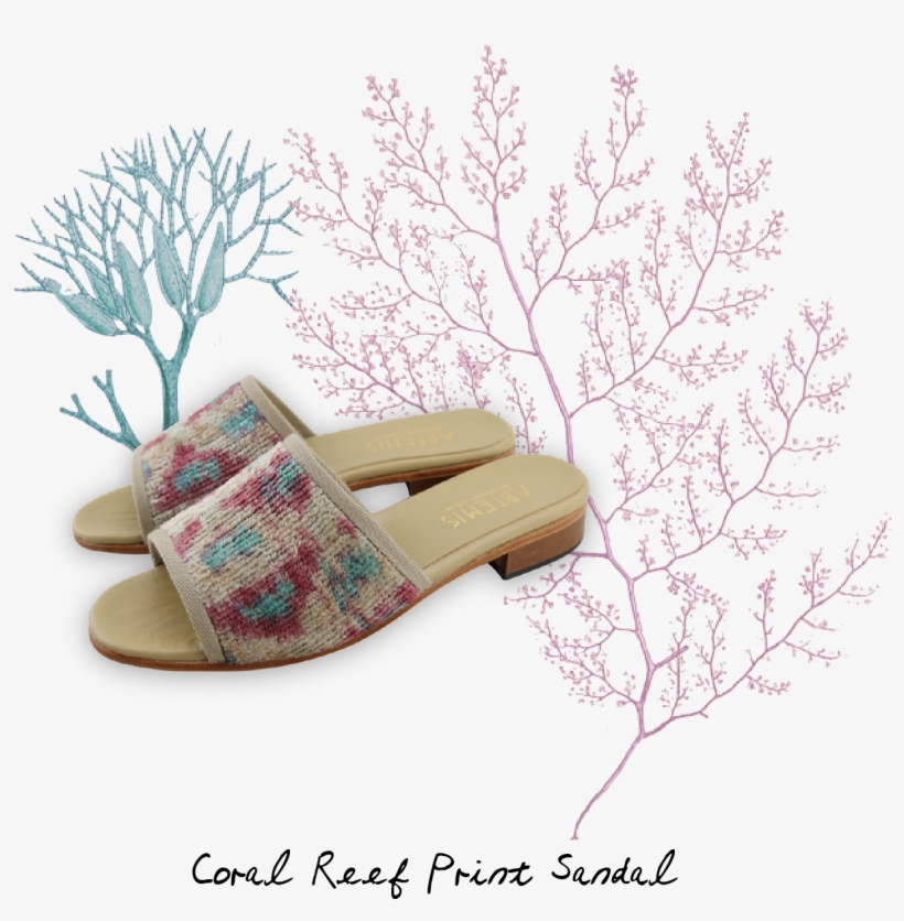 "new Collection - Flip-flops, transparent png download