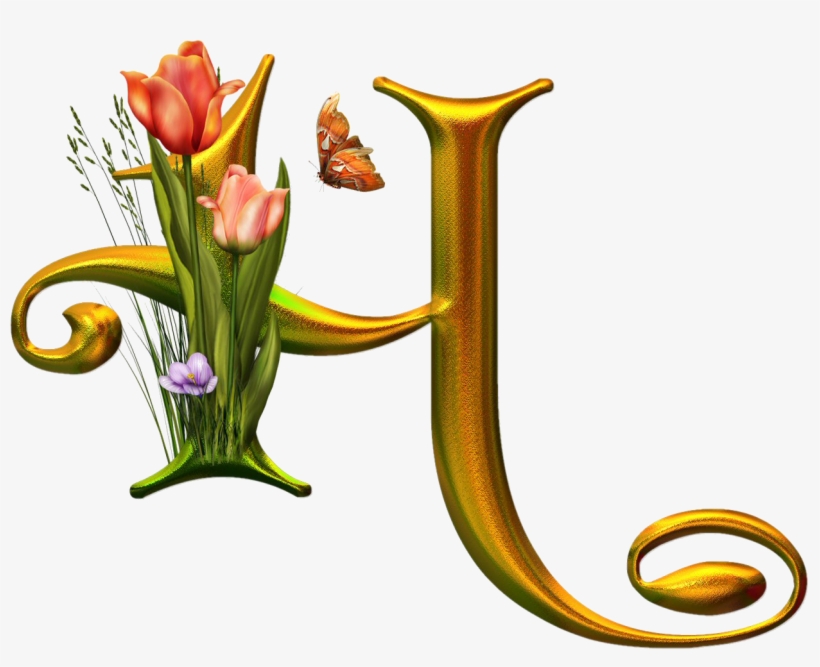 Bello Alfabeto Con Flores Y Mariposas, transparent png download