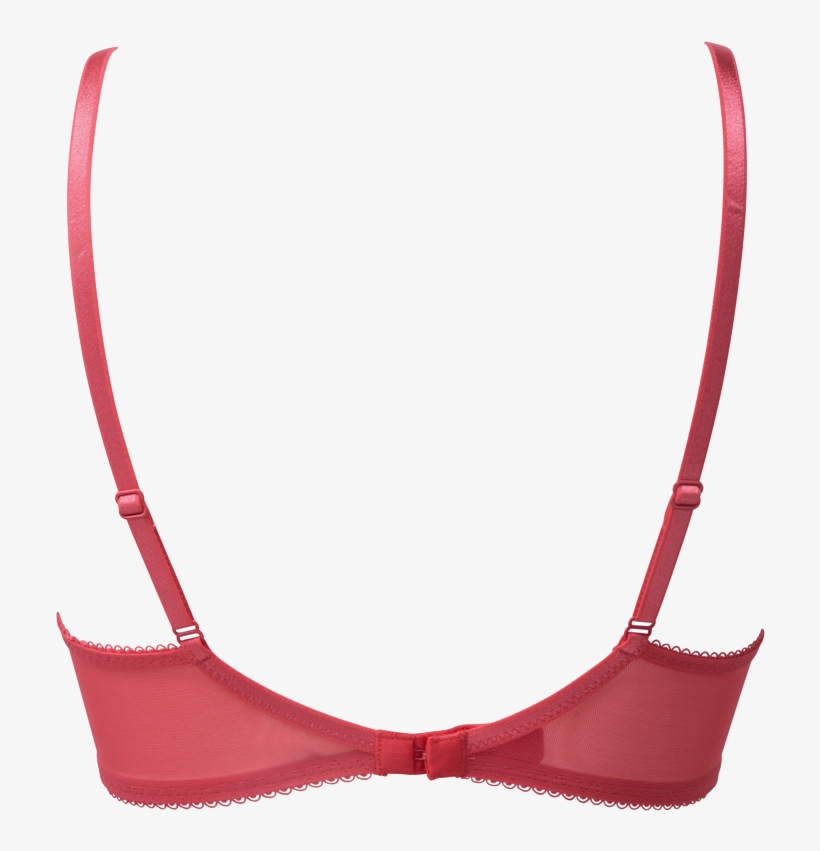Superboost Lace Plunge Bra In Hibiscus Product Shot - Brassiere, transparent png download
