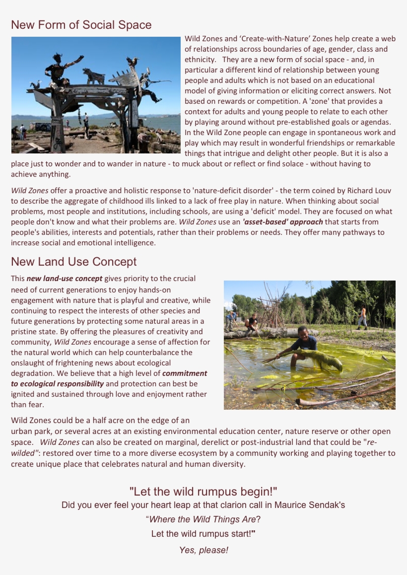 New Form Of Social Space Wild￼ Zones And 'create With - Tree, transparent png download