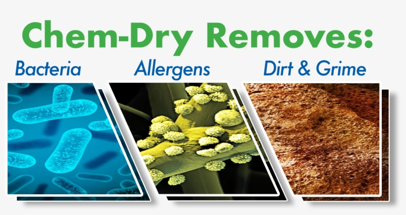 Wood Floor Cleaning Removes Bacteria, Allergens, And - Ras El Hanout, transparent png download