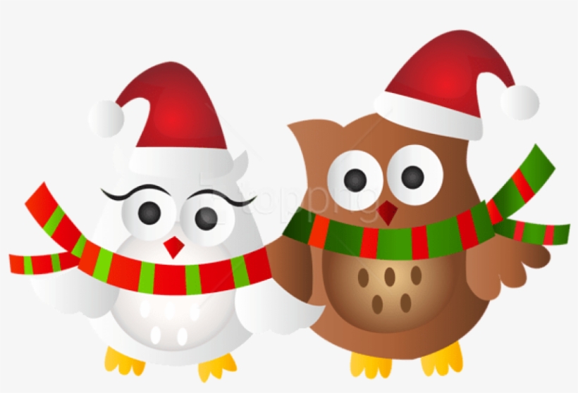 Christmas Owls Transparent Png - Clip Art Owl Christmas, transparent png download