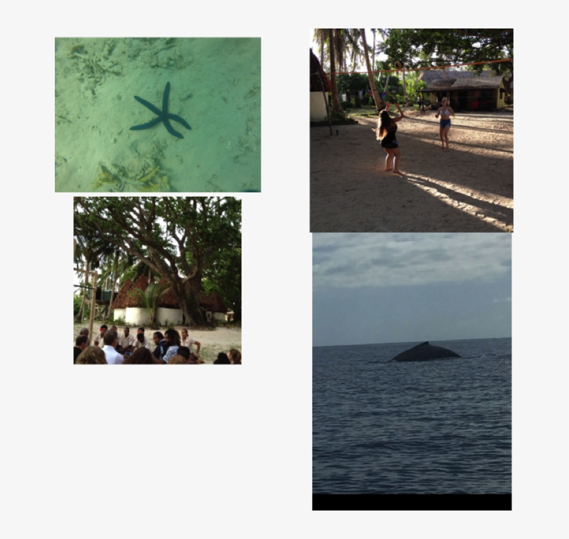 Though It Was A Bit Windy For Paddle Boarding The Students - Vacation, transparent png download