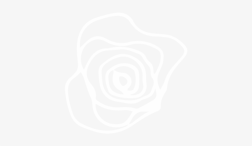 White-swirl - Garden Roses, transparent png download