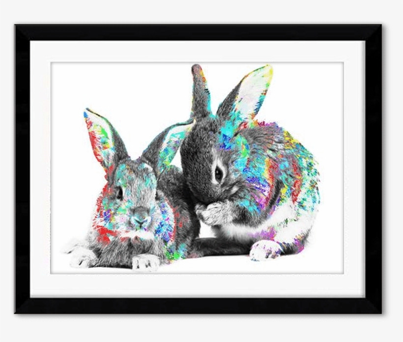 Furry And Sweet - Baby Rabbits, transparent png download
