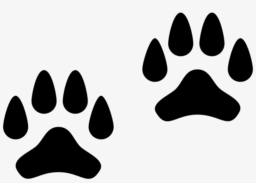 Pawprints Comments - Paw, transparent png download