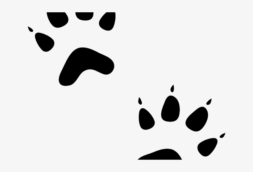 Cat Paw Prints Images - Transparent Background Pawprints Clipart, transparent png download