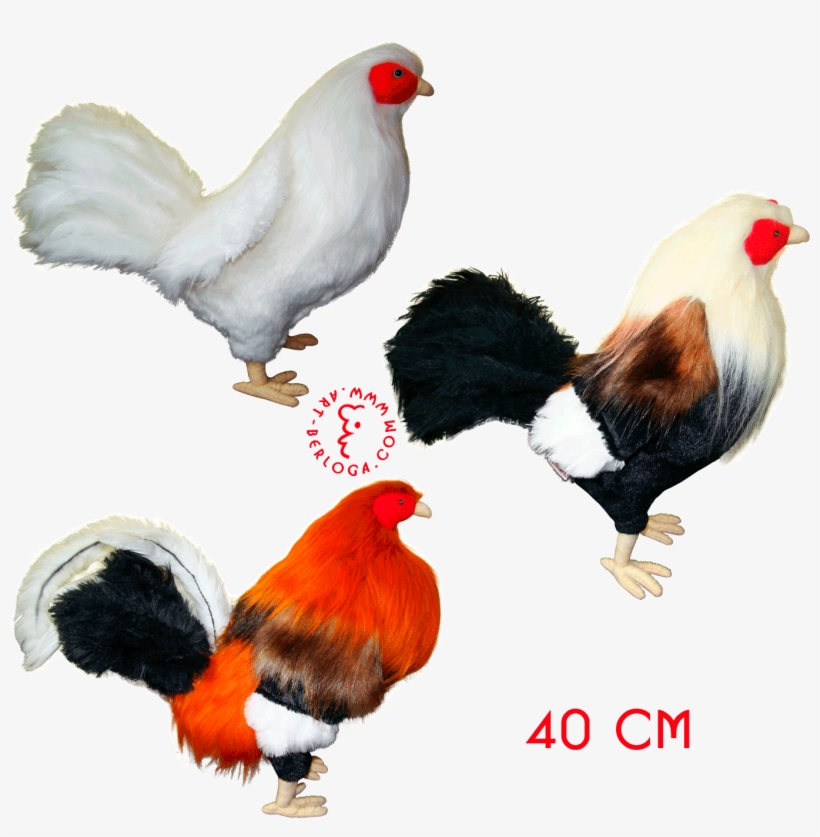 Exclusive Tailoring Of Plush Model For Collector - Rooster Fighting Toys, transparent png download