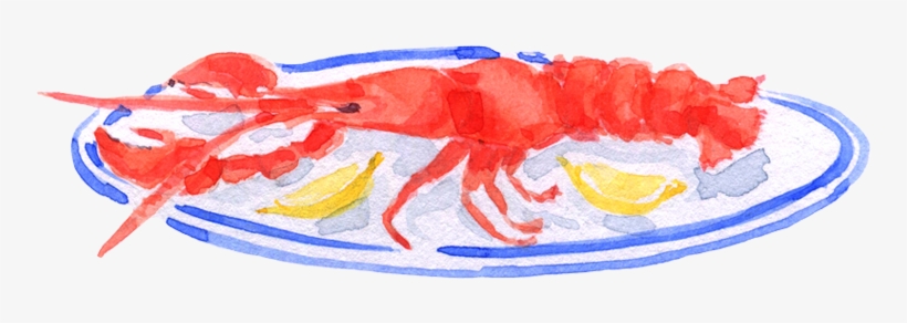 Shrimp, transparent png download