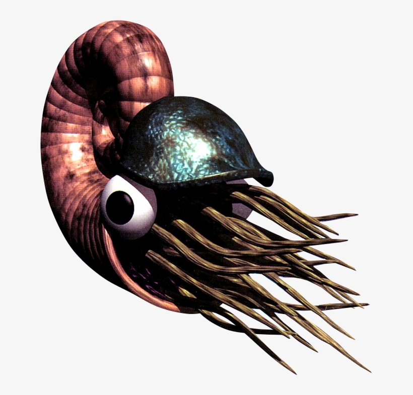 Chambered Nautilus, transparent png download