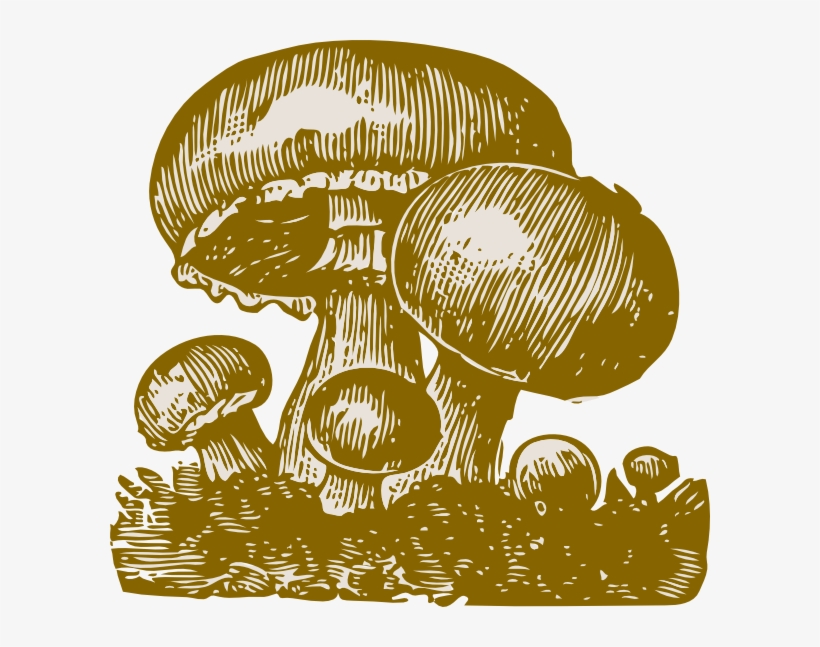 Small - Mushroom Art Vector Png, transparent png download