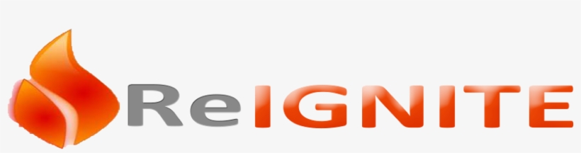 Cropped Website Logo 5o 2 - Orange, transparent png download