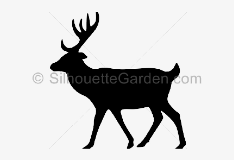 Elk, transparent png download