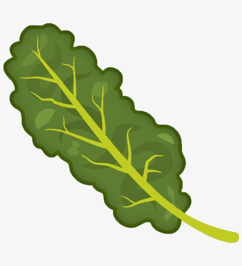 Kale Clipart Transparent - Transparent Background Kale Clipart, transparent png download