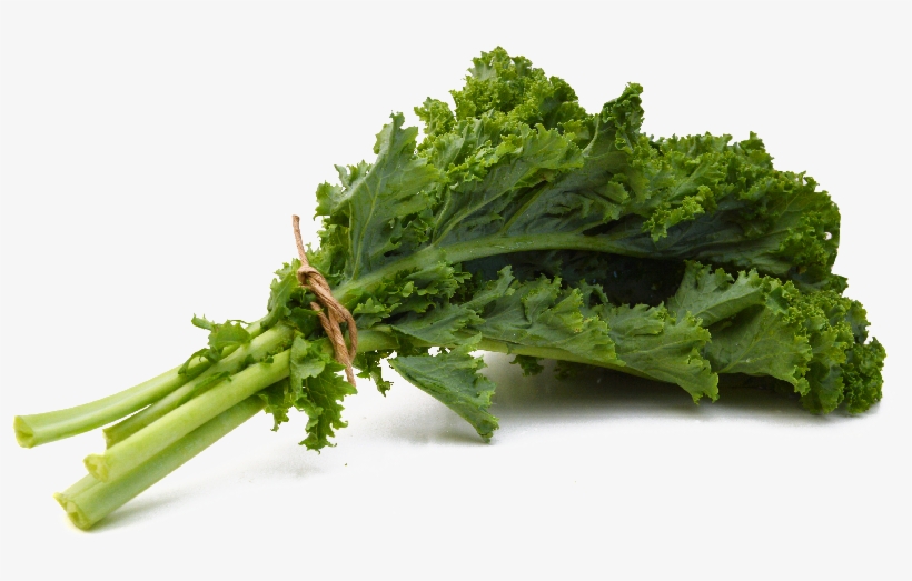 Uitzonderlijke Nutritionele Kwaliteiten - Jeune Pousse De Kale, transparent png download