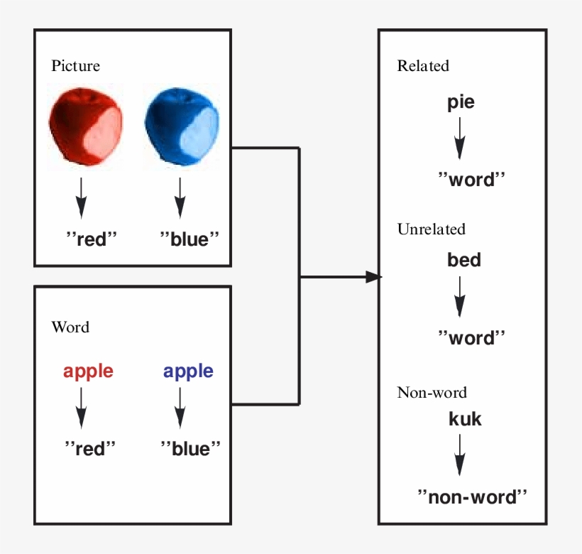 During The Study Phase, Participants Performed A Color-naming - Balloon, transparent png download