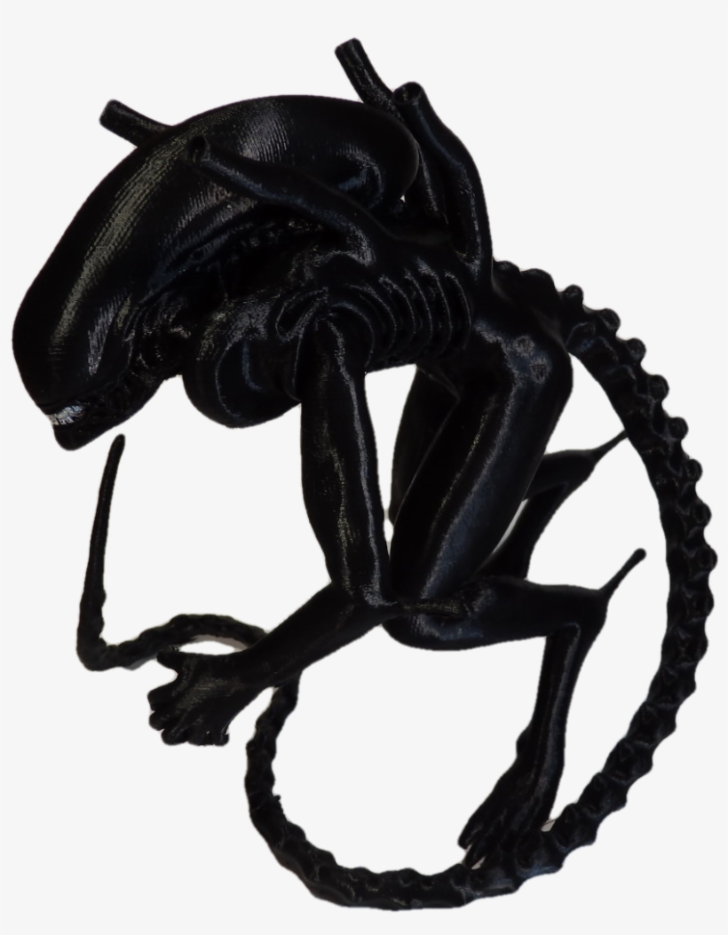 Xenomorph Warrior Drone - Mountain Bike Wheel Silhouette, transparent png download
