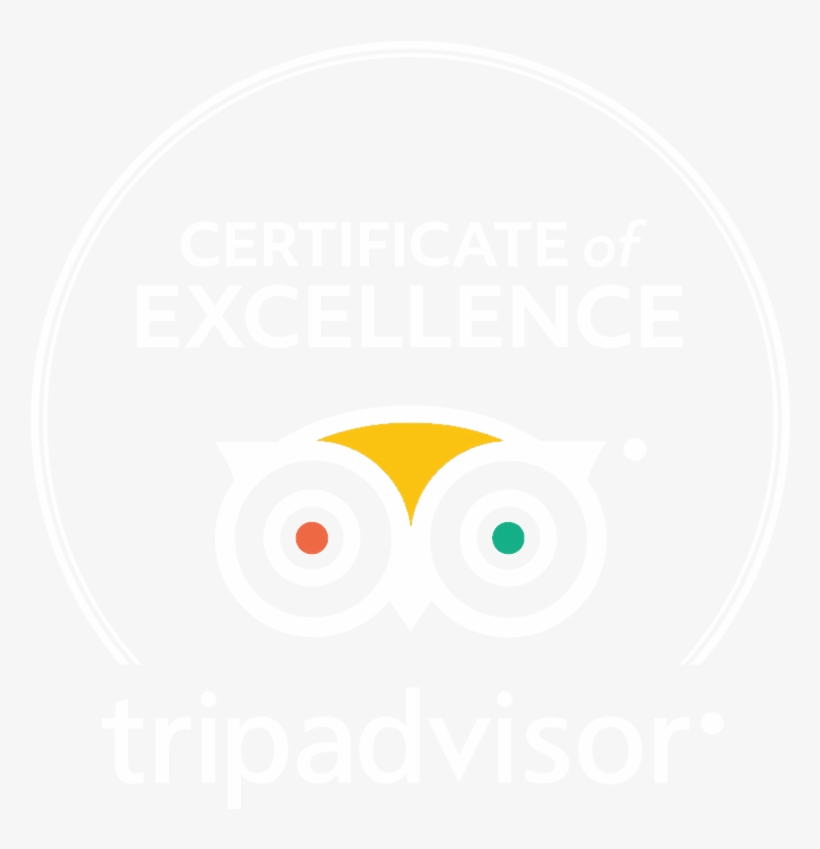 Tripadvisor Logo - Tripadvisor Llc, transparent png download