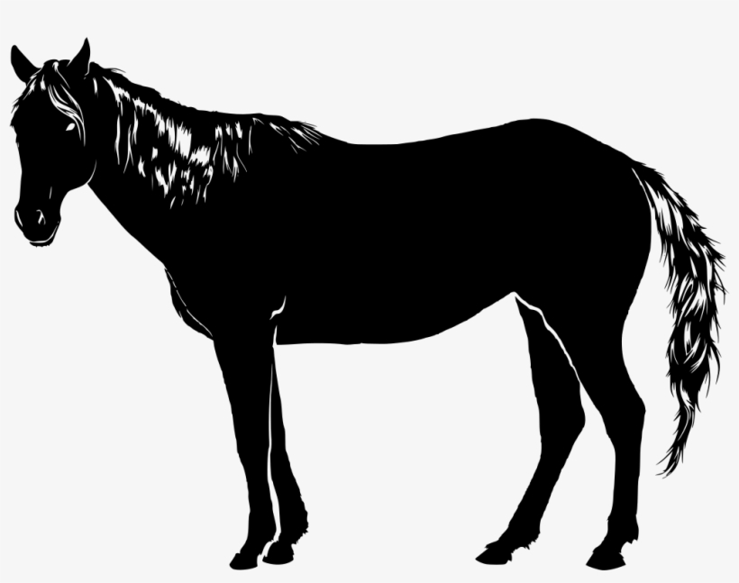 Download Png - Sombra De Un Caballo, transparent png download