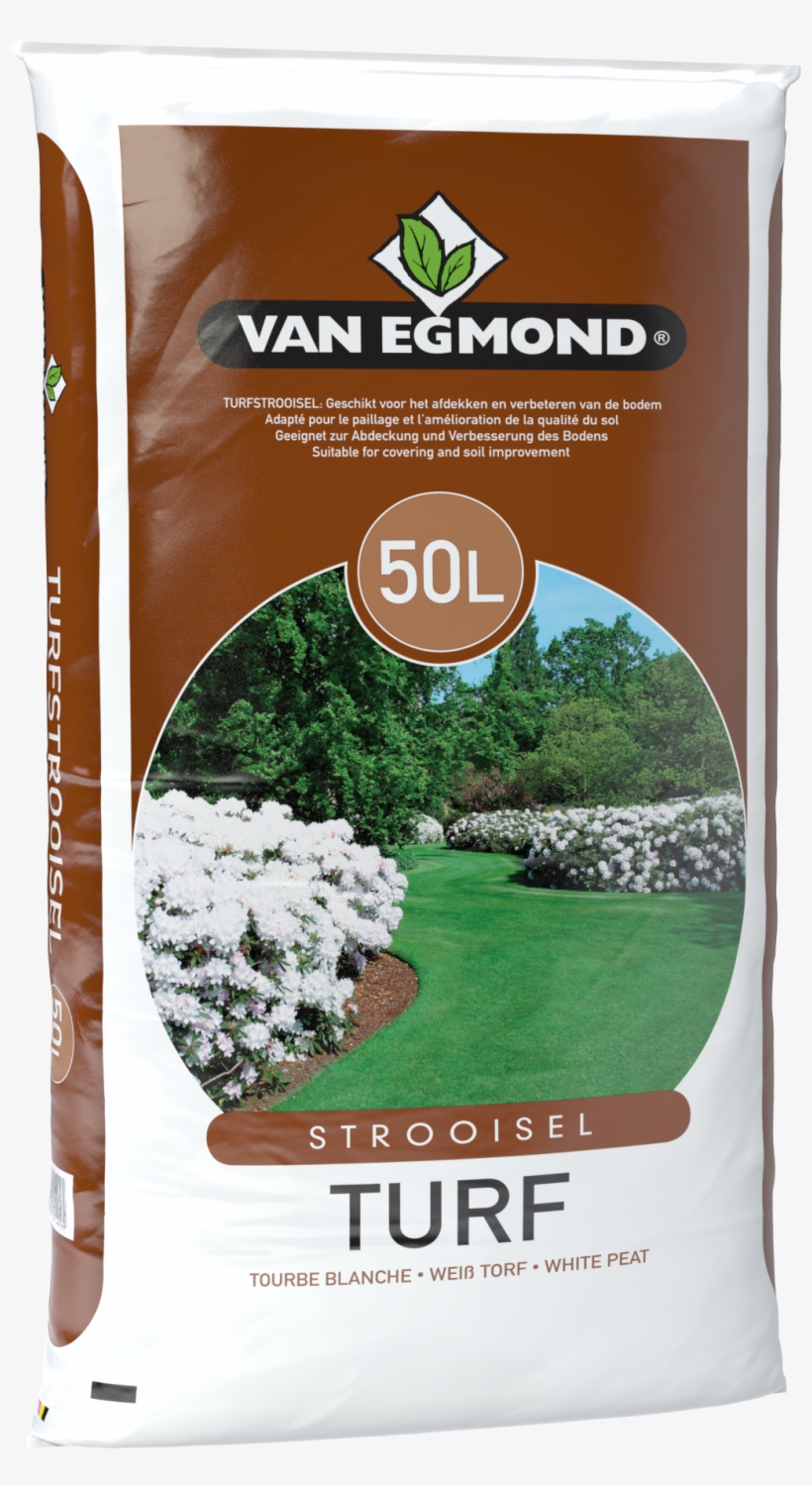 Interested - Grass, transparent png download