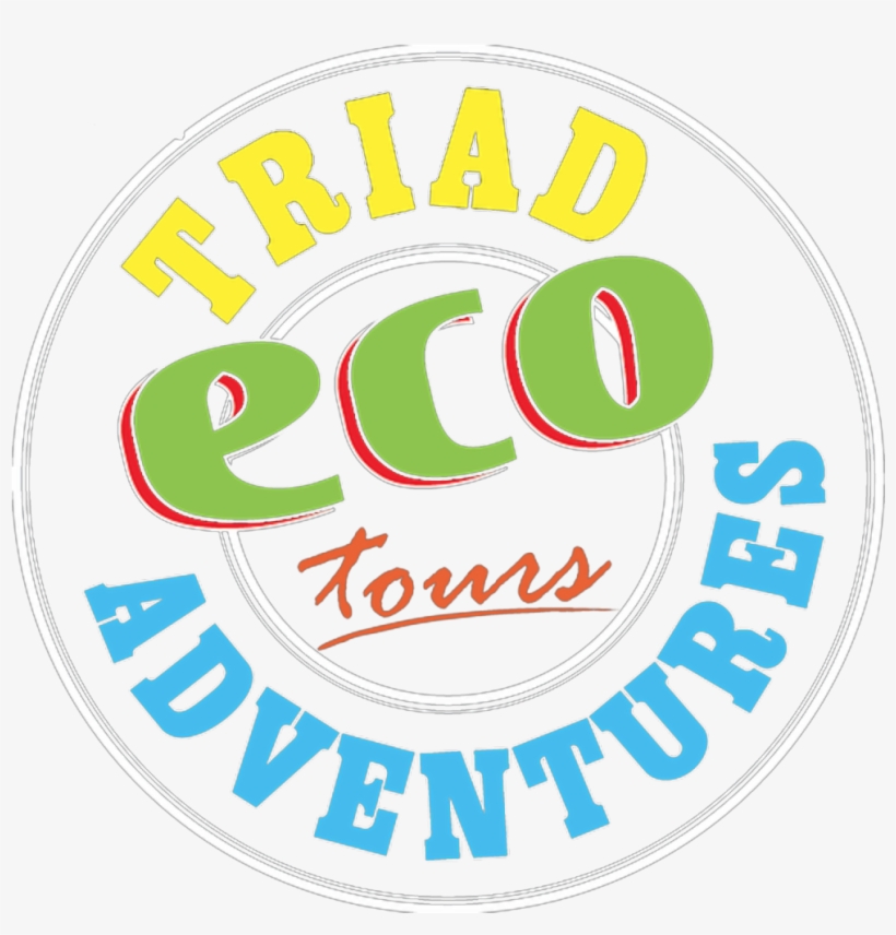 Sightseeing Tours In Winston-salem, Greensboro, & Highpoint - Hate Is Easy Love Takes, transparent png download