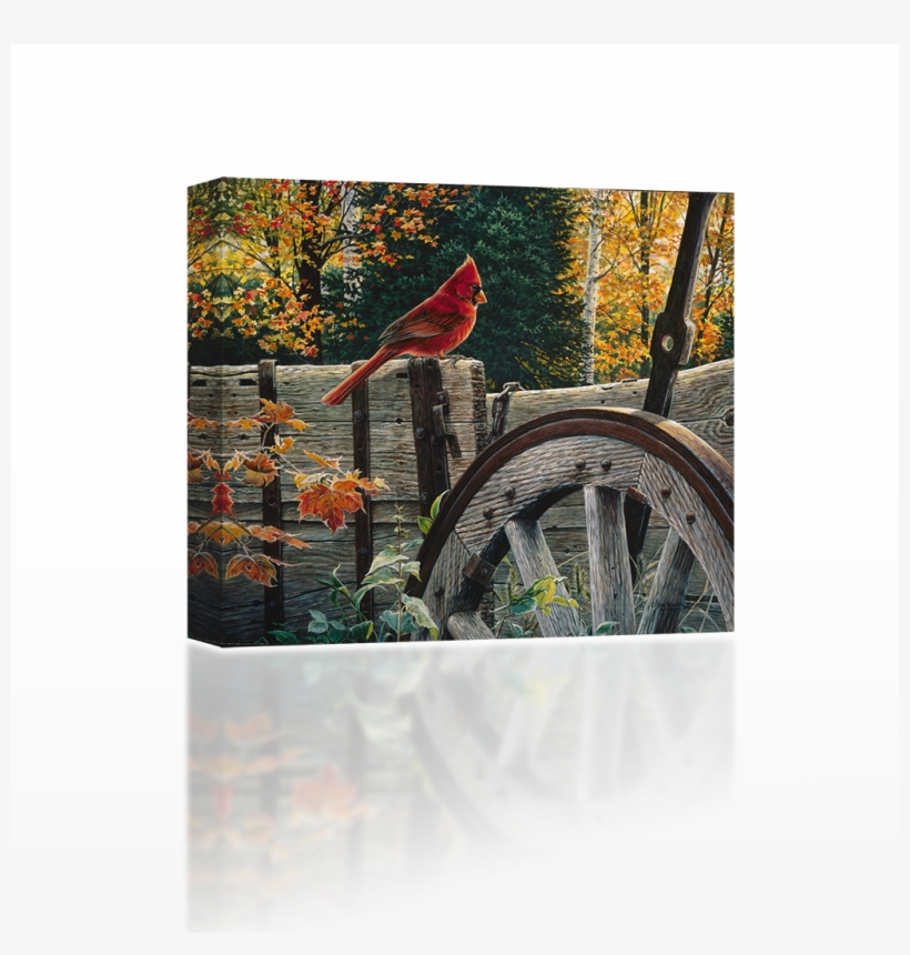 Cardinal Perched On A Fence - Northern Cardinal, transparent png download